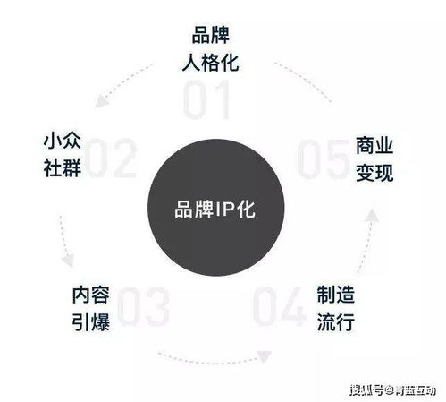 品牌IP的圈層化 互聯(lián)網(wǎng)營(yíng)銷聯(lián)動(dòng)下的新機(jī)遇