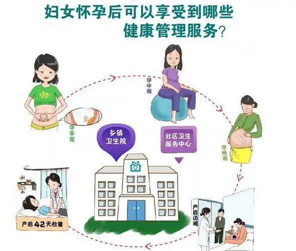 國(guó)家基本公共衛(wèi)生服務(wù)——孕產(chǎn)婦健康管理服務(wù)